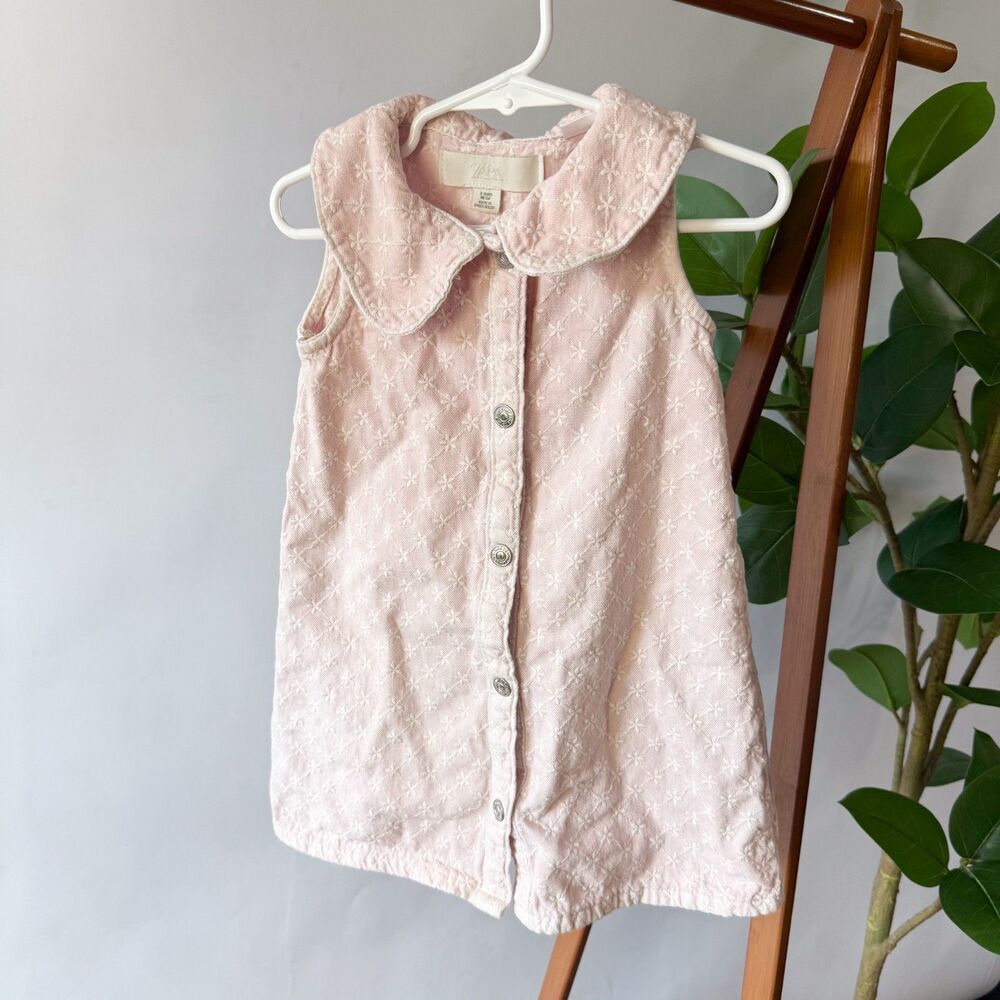 Zara Baby Girl Pink Embroidered Peter Pan Collar Dress 3Y